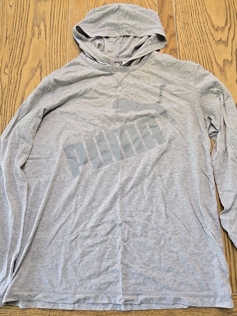 Puma Men's Light Gray Hooded Long-Sleeve Shirt